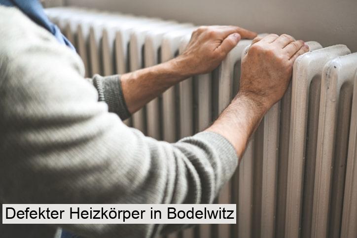 Defekter Heizkörper in Bodelwitz